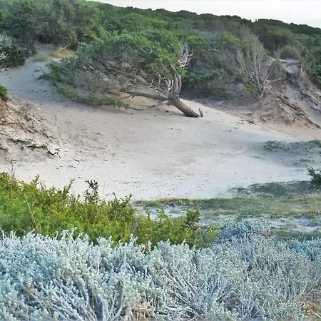 Casa Flavio 아파트 포르토 피노