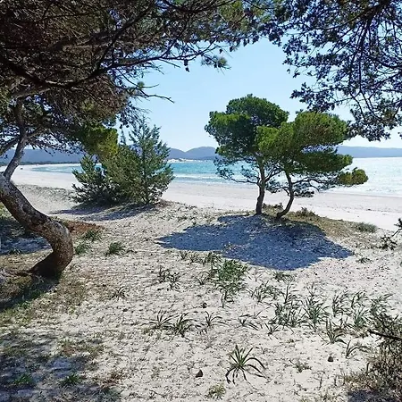 Casa Flavio Porto Pino