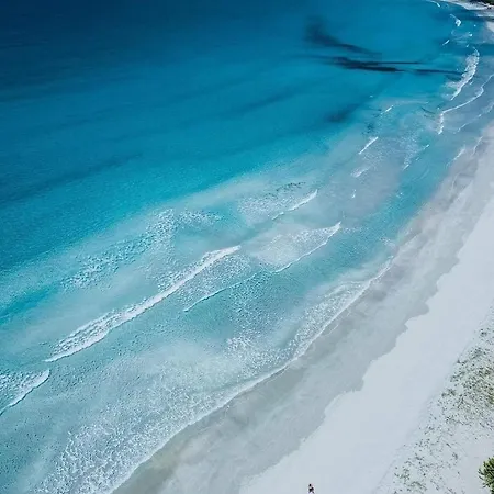 Casa Flavio 아파트 포르토 피노