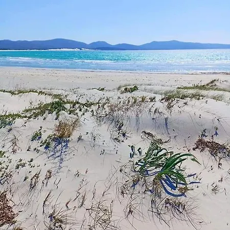 Casa Flavio Apartment Porto Pino