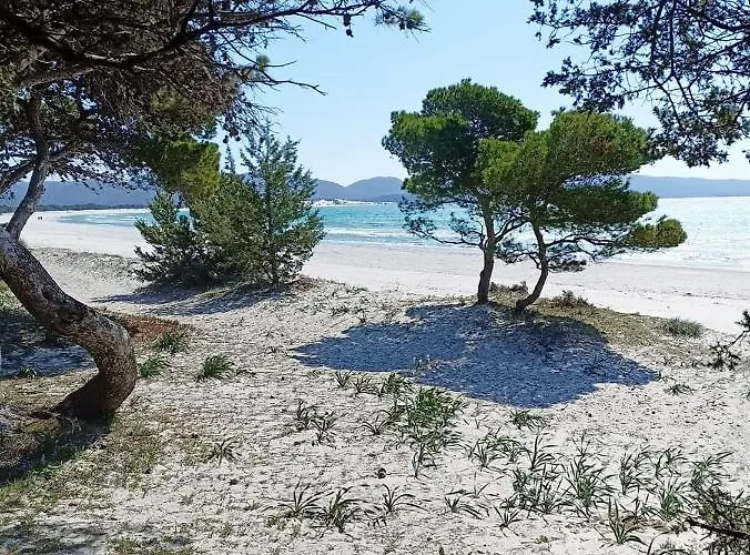 Casa Flavio Porto Pino